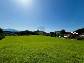 土地 农业/林业 萨尔茨堡  奥地利