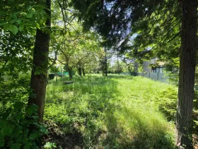 building ground  for sale in Haslau-Maria Ellend, Austria