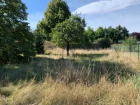 建筑用地 巴特绍尔布伦  奥地利