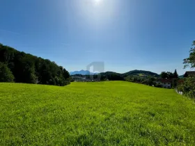 Eiendom land / skogbruk til salgs i Salzburg-Leopoldskroner Moos, Austria