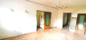 二世帯住宅 ペルニッツ  オーストリア