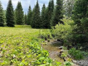 Bouwgrond te koop in Glödnitz, Oostenrijk