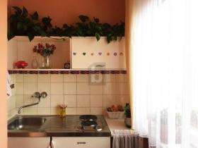 Floor Apartment for sale in Salzburg-Neu-Maxglan, Austria