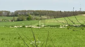 Commercial building site for sale in Sigleß, Austria