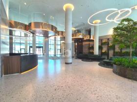 Płaski Wien  Austria