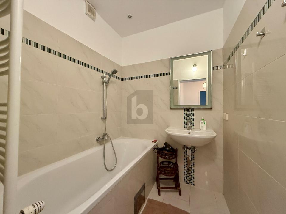 扁平 维也纳  奥地利