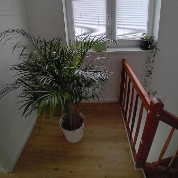 منزل منفصل غراتس  النمسا