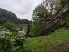 casa unifamiliare Kirchschlag in der Buckligen Welt Vendita Austria