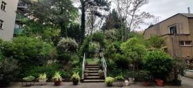 Plat Woest Te Koop Oostenrijk