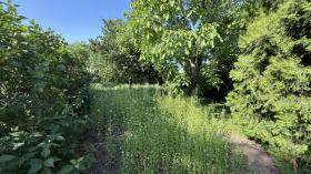 Baugrundstück Mörbisch am See zu kaufen Österreich