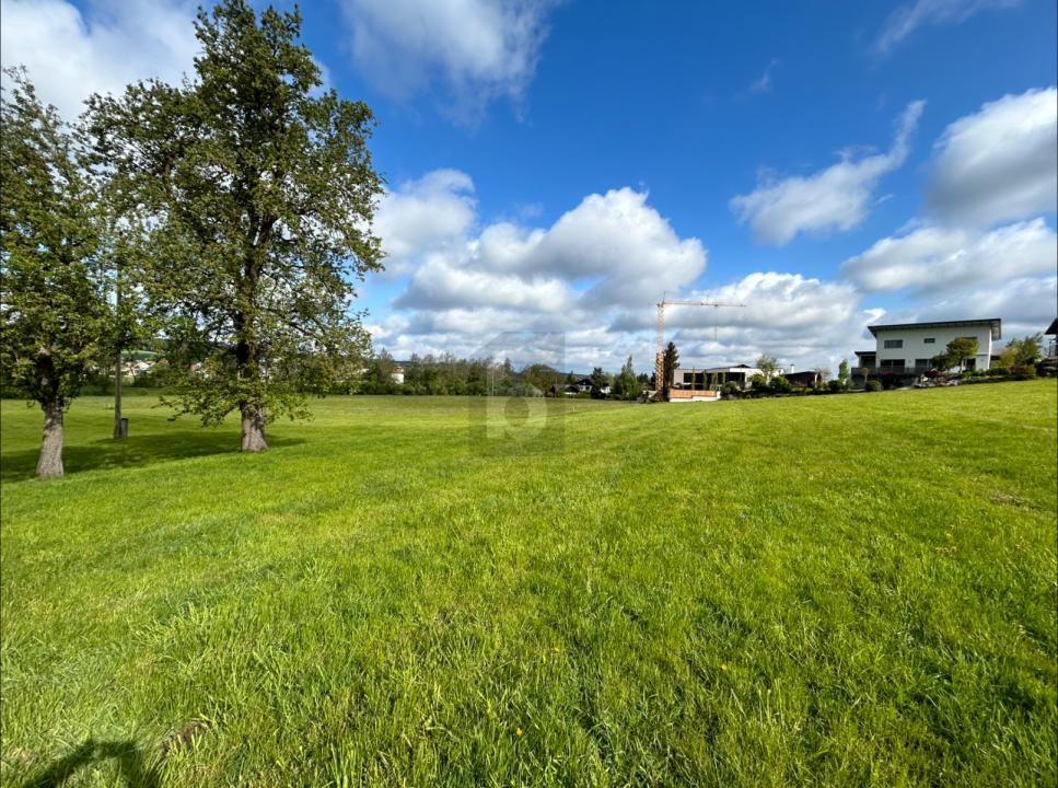 terrain à bâtir Höhnhart Achat Autriche