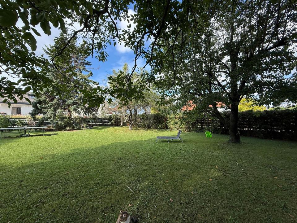 Bouwgrond Thallern Te Koop Oostenrijk