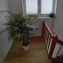 独立式住宅 格拉茨  奥地利