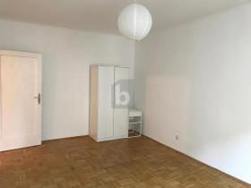 扁平 维也纳 奥地利