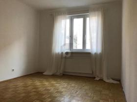 扁平 维也纳 奥地利