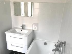 扁平 维也纳 奥地利