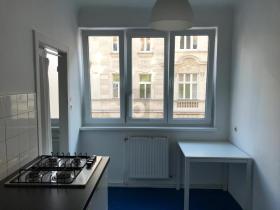 扁平 维也纳 奥地利