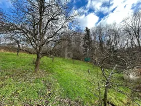 Detached house for sale in Salzburg, Austria