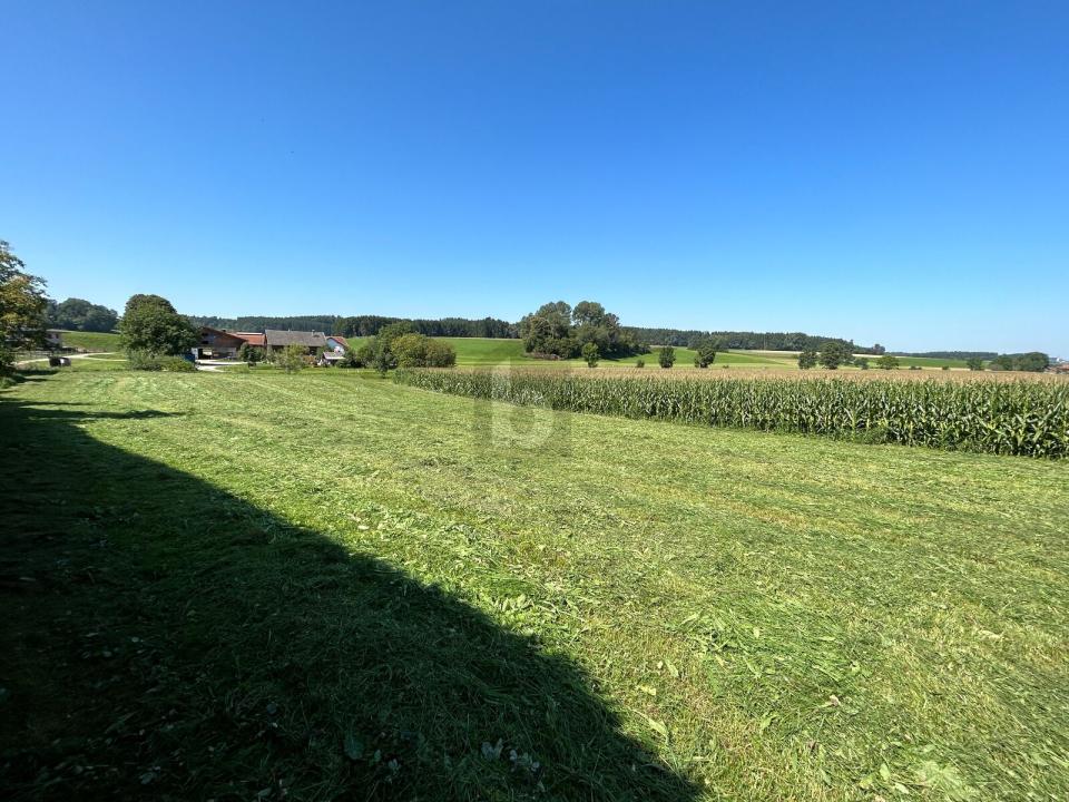 قطعة أرض المبنى Feldkirchen an der Donau  النمسا