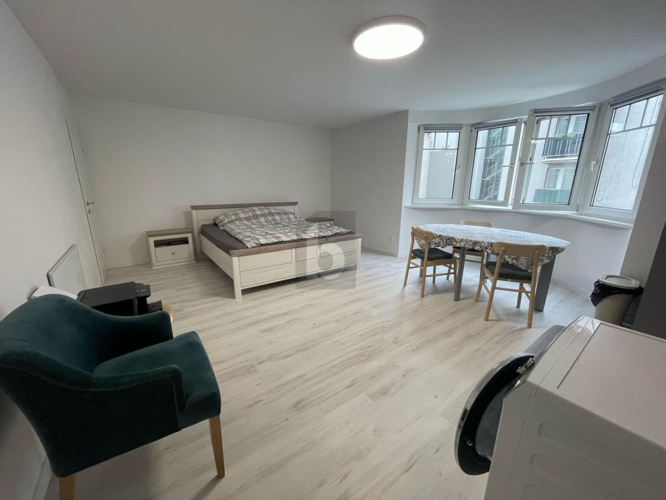 扁平 维也纳  奥地利