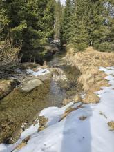 inşaat alanı Glödnitz Satılık Avusturya