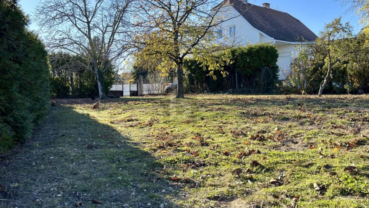 terrain à bâtir Mörbisch am See Achat Autriche