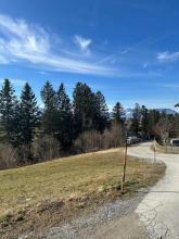 building ground  for sale in Sankt Koloman, Austria