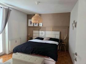 扁平 多瑙河畔费尔德基兴  奥地利