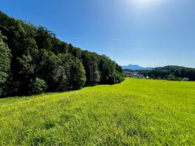 Property Land / erdo"gazdálkodás Salzburg Eladó Ausztria