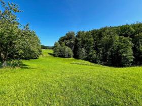 Property Land / erdo"gazdálkodás Salzburg Eladó Ausztria