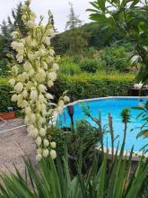 τέλος σπίτι σειρά Imbach bei Krems an der Donau Προς πώληση Αυστρία