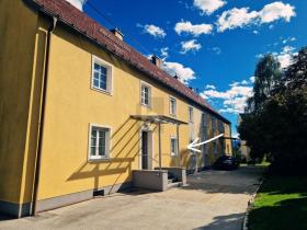 扁平 弗尔克市场 奥地利