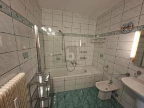 مسطحة فيلاش  النمسا