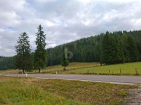 Baugrundstück Glödnitz Zu verkaufen Österreich