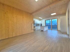 扁平 维也纳 奥地利