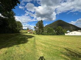 土地 农业/林业 施内贝格山麓普赫贝格 出售 奥地利