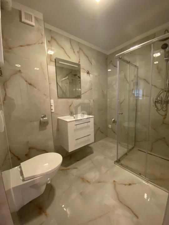 扁平 维也纳 出租 奥地利