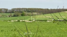 Centrum sportowe/rekreacyjne Na sprzedaż w Sigleß, Austria