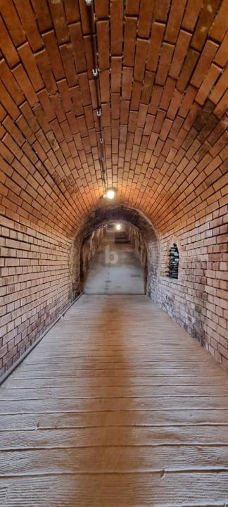 Viniculture For Sale in Feuersbrunn, Austria