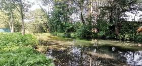 建筑用地 埃本富特 出售 奥地利