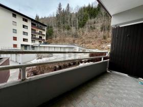 フラット バドガシュタイン 販売中 オーストリア