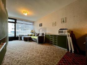 フラット バドガシュタイン 販売中 オーストリア