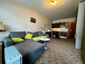 フラット バドガシュタイン 販売中 オーストリア