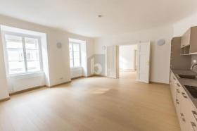 扁平 维也纳 出租 奥地利 扁平 维也纳 出租 奥地利