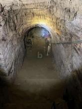 Vinkultur Wien Til salgs Austria