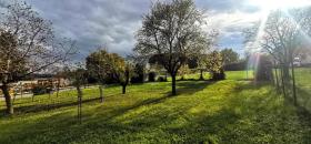 building ground Breitenbrunn For Sale Austria building ground Breitenbrunn For Sale Austria