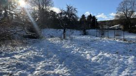 建筑用地 出售 于 巴特绍尔布伦, 奥地利 建筑用地 出售 于 巴特绍尔布伦, 奥地利