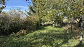 Obiteljska kuća Schattendorf Na prodaju Austria Obiteljska kuća Schattendorf Na prodaju Austria