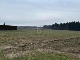 Baugrundstück Zu verkaufen in Gabersdorf, Österreich