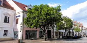 Winkel op te huur in Eisenstadt-Kleinhöflein, Oostenrijk